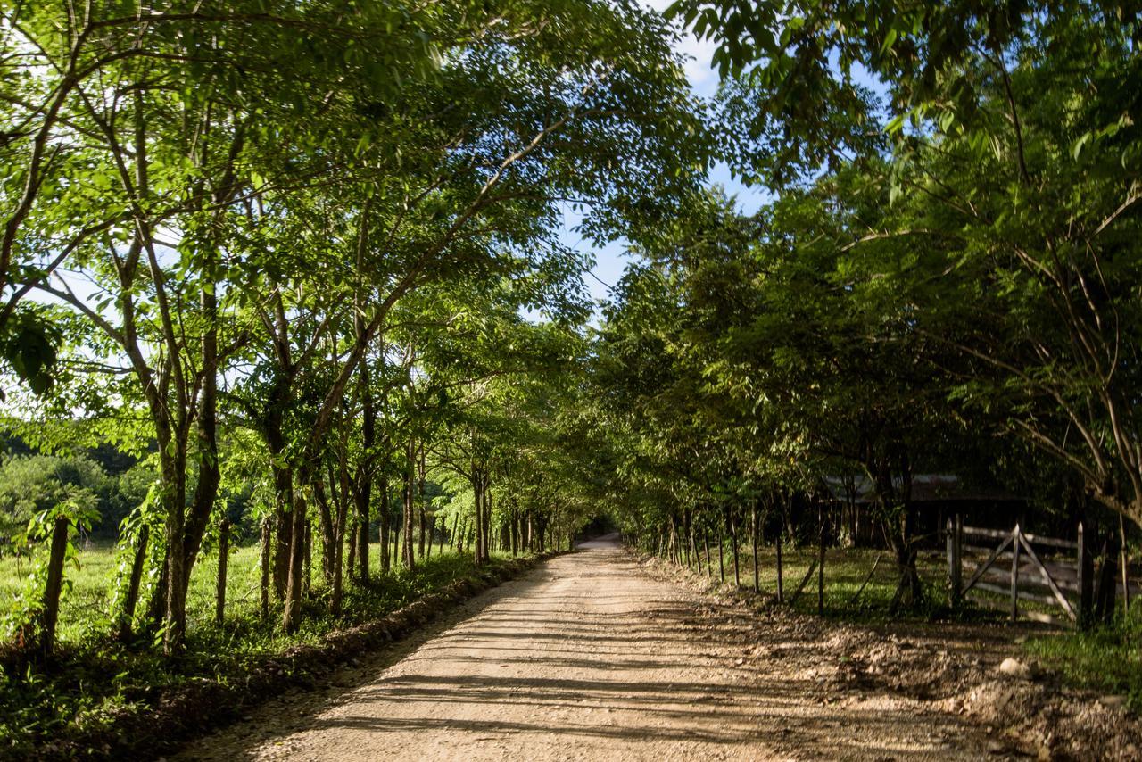 Villas Adriana, Palenque Εξωτερικό φωτογραφία